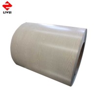 Philippines Ral 1022 Color Coating Steel Coil